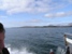 sound_mull.jpg
